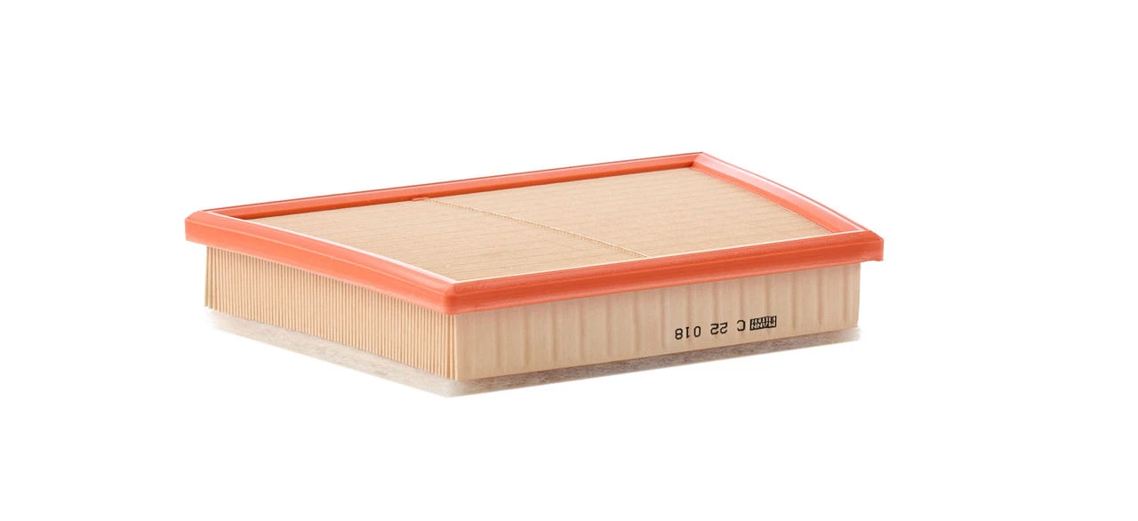 Imagem do filtro C22018 da marca MANN